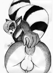 Rating: Explicit Score: 0 Tags: anal anal_masturbation anal_penetration anthro backsack balls bassariscus butt dildo e621 genitals greyscale looking_at_viewer male mammal markings masturbation monochrome object_in_ass open_mouth penetration procyonid rajii ring-tailed_cat ring_(marking) ringed_tail sex_toy sex_toy_in_ass sex_toy_insertion simple_background solo striped_markings striped_tail stripes tail tail_markings tongue tongue_out toying_self traditional_media_(artwork) white_background User: bunchy7s Rating: Explicit Score: 0 Tags: anal anal_masturbation anal_penetration anthro backsack balls bassariscus butt dildo e621 genitals greyscale looking_at_viewer male mammal markings masturbation monochrome object_in_ass open_mouth penetration procyonid rajii ring-tailed_cat ring_(marking) ringed_tail sex_toy sex_toy_in_ass sex_toy_insertion simple_background solo striped_markings striped_tail stripes tail tail_markings tongue tongue_out toying_self traditional_media_(artwork) white_background User: bunchy7s