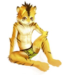 Rating: Questionable Score: 0 Tags: anthro biped boxer_briefs boxer_briefs_only bulge chest_tuft clothed clothing e621 felid kiske_7key looking_at_viewer male mammal navel nipples pantherine pattern_boxer_briefs simple_background sitting solo striped_boxer_briefs stripes tiger topless tuft underwear underwear_only white_background yellow_eyes young young_anthro young_male User: bunchy7s