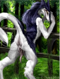 Rating: Explicit Score: 0 Tags: anthro anus back color day female from_behind fur furry looking_back multicolored_hair outdoors presenting pussy rain_(sergal) rain_silves rule34 sergal smooth_skin solo tail tree yellow_eyes User: bunchy7s