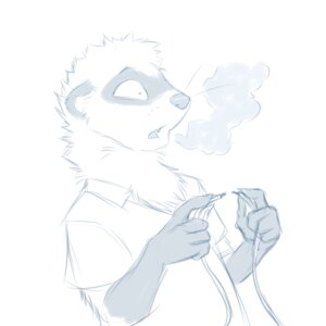 Rating: Safe Score: 0 Tags: 1:1 anthro blue_and_white clothing domestic_ferret e621 electrocution male mammal monochrome mustelid musteline nateday puff shirt short smoke solo surprised topwear true_musteline weasel wire User: bunchy7s
