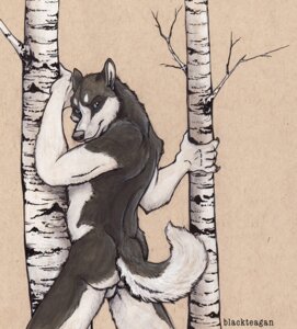 Rating: Explicit Score: 0 Tags: anthro backsack balls blackteagan butt canid canine canis domestic_dog e621 genitals husky looking_back male mammal nordic_sled_dog nude plant presenting solo spitz tail tree User: bunchy7s