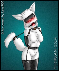 Rating: Explicit Score: 0 Tags: anthro armbinder bdsm binder_(restraint) blindfold blush bondage bondage_gear bound breasts canid canine canis collar cuff_(restraint) e621 female fur gag gagged genitals hair hands_behind_back latex legbinder mammal nude open_mouth open_mouth_gag restraints ring_gag shackles shiro_kurokage solo submissive submissive_female tail tail_bondage tail_cuff tail_tied tongue tydrian vulva white_body white_fur wolf User: bunchy7s