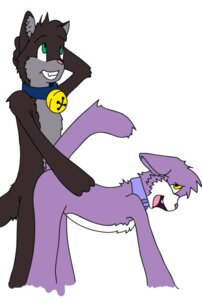 Rating: Explicit Score: 0 Tags: female grape_jelly_(housepets!) housepets! max purple_fur rule34 tagme webcomic User: bunchy7s