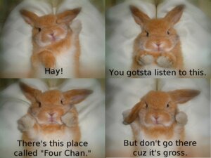 Rating: Safe Score: 0 Tags: 4:3 4chan :3 ambiguous_gender e621 english_text feral grandfathered_content humor lagomorph leporid mammal multiple_poses pose rabbit real solo text unknown_artist User: bunchy7s Rating: Safe Score: 0 Tags: 4:3 4chan :3 ambiguous_gender e621 english_text feral grandfathered_content humor lagomorph leporid mammal multiple_poses pose rabbit real solo text unknown_artist User: bunchy7s