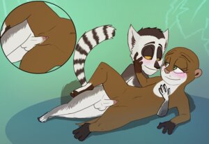 Rating: Explicit Score: 0 Tags: animatics anthro blush dreamworks duo e621 erection feet female female_penetrated flat_chested from_behind_position genitals interspecies king_julien lemur madagascar_(series) male male/female male_penetrating male_penetrating_female mammal marlene_(madagascar) mustelid nude otter penetration penile penile_penetration penis penis_in_vagina prehensile_feet primate ring-tailed_lemur sex strepsirrhine tail the_penguins_of_madagascar toes vaginal vaginal_penetration User: bunchy7s