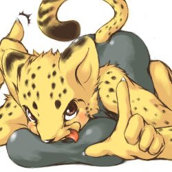 Rating: Questionable Score: 0 Tags: 1:1 anthro ass_up blush breast_squish breasts cheetah e621 felid feline female looking_at_viewer low_res mammal nekouri solo squish tail thumbnail User: bunchy7s Rating: Questionable Score: 0 Tags: 1:1 anthro ass_up blush breast_squish breasts cheetah e621 felid feline female looking_at_viewer low_res mammal nekouri solo squish tail thumbnail User: bunchy7s