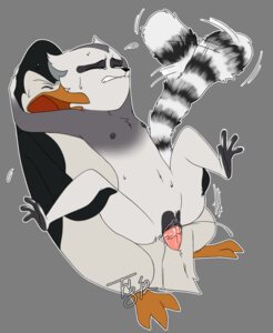 Rating: Explicit Score: 0 Tags: 2012 adelie_penguin alpha_channel andromorph andromorph/male andromorph_penetrated anthro avian bird bodily_fluids brush-tailed_penguin clenched_teeth clitoral_hood clitoris cum dreamworks duo e621 ejaculation erection eyes_closed feet full-length_portrait genital_fluids genitals intersex intersex/male intersex_penetrated interspecies king_julien kowalski_(madagascar) lemur madagascar_(series) male male_penetrating male_penetrating_andromorph male_penetrating_intersex mammal markings nipples nude open_mouth orgasm outline penetration penguin penile penile_penetration penis penis_in_vagina portrait prehensile_feet primate ring-tailed_lemur ring_(marking) ringed_tail sex simple_background sitting strepsirrhine striped_markings striped_tail stripes sweat tail tail_markings teeth toes transparent_background tsuyagami vaginal vaginal_fluids vaginal_penetration vaginal_squirting vulva wings User: bunchy7s
