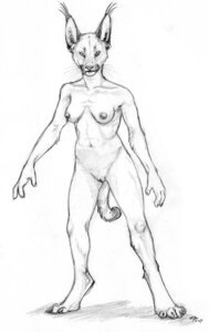 Rating: Explicit Score: 0 Tags: 2007 4_toes anthro areola biped breasts caracal caracal_(genus) claws detailed digitigrade e621 ear_piercing ear_ring ear_tuft ebonytigress feet felid feline female front_view full-length_portrait fur genitals graphite_(artwork) looking_at_viewer mammal monochrome nipples nude piercing portrait ring_piercing shaded sheryn_brown simple_background sketch small_breasts solo standing tail toe_claws toes traditional_media_(artwork) tuft vulva whiskers white_background User: bunchy7s Rating: Explicit Score: 0 Tags: 2007 4_toes anthro areola biped breasts caracal caracal_(genus) claws detailed digitigrade e621 ear_piercing ear_ring ear_tuft ebonytigress feet felid feline female front_view full-length_portrait fur genitals graphite_(artwork) looking_at_viewer mammal monochrome nipples nude piercing portrait ring_piercing shaded sheryn_brown simple_background sketch small_breasts solo standing tail toe_claws toes traditional_media_(artwork) tuft vulva whiskers white_background User: bunchy7s