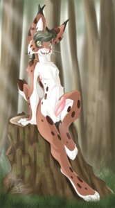 Rating: Explicit Score: 0 Tags: anthro balls chest_tuft e621 erection felid feline fur genitals humanoid_genitalia humanoid_penis lynx male mammal nude penis peritian solo tail tuft User: bunchy7s