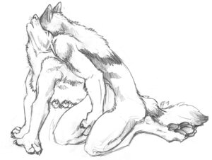 Rating: Explicit Score: 0 Tags: 2008 anal anal_penetration anthro anthro_on_anthro blackteagan canid canine duo e621 eyes_closed from_behind_position greyscale hug male male/male male_penetrated male_penetrating male_penetrating_male mammal monochrome nude pawpads penetration scratches_volume_2 sex sketch tail traditional_media_(artwork) User: bunchy7s Rating: Explicit Score: 0 Tags: 2008 anal anal_penetration anthro anthro_on_anthro blackteagan canid canine duo e621 eyes_closed from_behind_position greyscale hug male male/male male_penetrated male_penetrating male_penetrating_male mammal monochrome nude pawpads penetration scratches_volume_2 sex sketch tail traditional_media_(artwork) User: bunchy7s