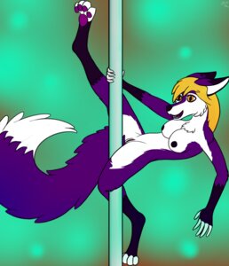 Rating: Explicit Score: 0 Tags: anthro belly black_nipples blonde_hair canid canine dancing danielle_(sporefox) dipstick_tail e621 female fox fur genitals gloves_(marking) hair leg_markings mammal markings nipples nude pawpads pole pole_dancing purple_body purple_fur purple_pawpads socks_(marking) solo sporefox1 tail tail_markings vulva white_belly white_body white_fur yellow_eyes User: bunchy7s