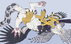 Rating: Explicit Score: 0 Tags: 2011 4_toes accipitrid accipitriform animal_genitalia anisodactyl anus augur_buzzard auspex avian avian_feet balls beak bird buteo catwolf cloaca duo e621 eagle erection feathered_wings feathers feet felid feral genitals gryphon harpy_eagle hi_res hindpaw leopard lying male male/male mammal mythological_avian mythological_creature mythology noxy_(avian) on_back pantherine paws penis round_cloaca snow_leopard spread_legs spreading tail talons toes wings User: bunchy7s