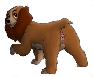 Rating: Explicit Score: 0 Tags: anatomically_correct anatomically_correct_genitalia anatomically_correct_vulva animal_genitalia animal_vulva anus bird_dog bodily_fluids canid canine canine_genitalia canine_vulva canis cocker_spaniel cum disney domestic_dog e621 female feral fur genital_fluids genitals hunting_dog lady_(lady_and_the_tramp) lady_and_the_tramp mammal marjani presenting simple_background solo spaniel vulva white_background User: bunchy7s