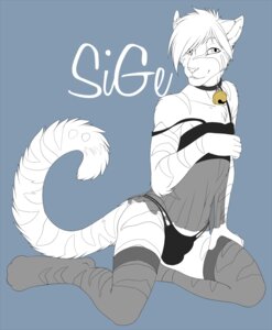 Rating: Questionable Score: 0 Tags: accelo anthro bell bell_collar clothed clothing collar crossdressing domestic_cat e621 felid feline felis femboy fluffy fluffy_tail hi_res looking_at_viewer male mammal panties sige sketch solo stripes tail underwear User: bunchy7s