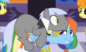 Rating: Questionable Score: 0 Tags: 2d_animation animated animated_gif blue_body blue_feathers blue_fur digital_media_(artwork) duo_focus e621 equid equine feathered_wings feathers female feral forced friendship_is_magic fur golden_wreath group hair hasbro low_res male mammal multicolored_hair my_little_pony mythological_creature mythological_equine mythology pegasus quadruped rainbow_dash_(mlp) rainbow_hair rape_face short_playtime tail toony unknown_artist wings User: bunchy7s Rating: Questionable Score: 0 Tags: 2d_animation animated animated_gif blue_body blue_feathers blue_fur digital_media_(artwork) duo_focus e621 equid equine feathered_wings feathers female feral forced friendship_is_magic fur golden_wreath group hair hasbro low_res male mammal multicolored_hair my_little_pony mythological_creature mythological_equine mythology pegasus quadruped rainbow_dash_(mlp) rainbow_hair rape_face short_playtime tail toony unknown_artist wings User: bunchy7s