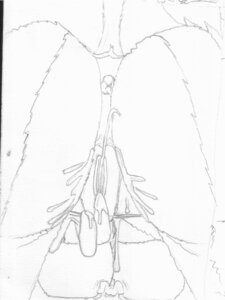 Rating: Explicit Score: 0 Tags: anthro anus bodily_fluids body_size_growth butt canid canine clothing crotch_shot duo e621 female fox genital_fluids genitals graphite_(artwork) macro male mammal micro monochrome size_difference size_transformation solo_focus torn_clothing traditional_media_(artwork) transformation unknown_artist vaginal_fluids vulva User: bunchy7s Rating: Explicit Score: 0 Tags: anthro anus bodily_fluids body_size_growth butt canid canine clothing crotch_shot duo e621 female fox genital_fluids genitals graphite_(artwork) macro male mammal micro monochrome size_difference size_transformation solo_focus torn_clothing traditional_media_(artwork) transformation unknown_artist vaginal_fluids vulva User: bunchy7s