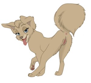 Rating: Explicit Score: 0 Tags: 2010 ajali angel_(lady_and_the_tramp) anus bedroom_eyes blue_eyes canid canine canis digitigrade disney domestic_dog e621 eyebrows eyelashes female feral genitals half-closed_eyes inviting lady_and_the_tramp looking_at_viewer looking_back mammal mixed_breed narrowed_eyes open_mouth pawpads pomsky presenting presenting_vulva seductive simple_background solo tail tongue tongue_out vulva white_background User: bunchy7s