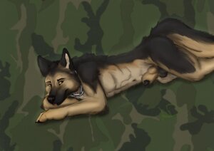 Rating: Explicit Score: 0 Tags: 2013 animal_genitalia animal_penis anthro balls biped black_balls black_body black_fur black_penis canid canine canine_genitalia canine_penis canis chain chain_collar collar detached_sheath domestic_dog e621 fur genitals german_shepherd half-erect herding_dog ivashin jewelry knot knot_in_sheath labbedog looking_at_viewer lying male mammal navel necklace nude on_front ovcharka pastoral_dog penis penis_tip sheath solo tail tan_body tan_fur tongue tongue_out User: bunchy7s Rating: Explicit Score: 0 Tags: 2013 animal_genitalia animal_penis anthro balls biped black_balls black_body black_fur black_penis canid canine canine_genitalia canine_penis canis chain chain_collar collar detached_sheath domestic_dog e621 fur genitals german_shepherd half-erect herding_dog ivashin jewelry knot knot_in_sheath labbedog looking_at_viewer lying male mammal navel necklace nude on_front ovcharka pastoral_dog penis penis_tip sheath solo tail tan_body tan_fur tongue tongue_out User: bunchy7s