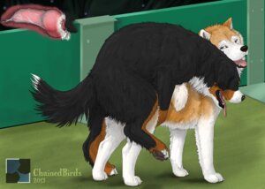 Rating: Explicit Score: 0 Tags: 2013 akita all_fours animal_genitalia animal_penis backsack balls bernese_mountain_dog bodily_fluids canid canine canine_genitalia canine_penis canis chainedbirds cum cum_inside doggystyle domestic_dog duo e621 erection female female_penetrated feral feral_on_feral from_behind_position fur genital_fluids genitals internal knot knotting looking_at_viewer male male/female male_penetrating male_penetrating_female mammal mating_grip molosser mountain_dog open_mouth penetration penis raised_leg rounded_back sex spitz swiss_mountain_dog tongue tongue_out User: bunchy7s