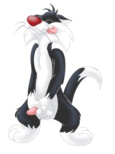Rating: Explicit Score: 0 Tags: anthro black_fur cat erection feline front_view fur looney_tunes male male_only mammal masturbation nude penis red_nose rule34 smooth_fur solo standing sylvester tagme tail tongue whiskers white_fur User: bunchy7s Rating: Explicit Score: 0 Tags: anthro black_fur cat erection feline front_view fur looney_tunes male male_only mammal masturbation nude penis red_nose rule34 smooth_fur solo standing sylvester tagme tail tongue whiskers white_fur User: bunchy7s