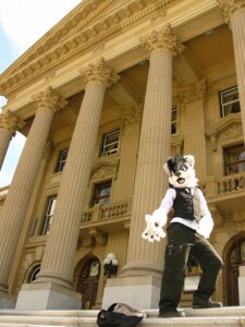 Rating: Safe Score: 0 Tags: 2009 amran anthro black_hair classy clothing costume e621 formal fursuit grandfathered_content hair hybrid looking_at_viewer male outside photography_(artwork) pose real scar short_hair solo tongue topwear vest User: bunchy7s