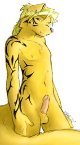 Rating: Explicit Score: 0 Tags: 1boy anthro canine fur furry male male_only penis piercing rule34 solo tattoo weylyn User: bunchy7s