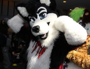 Rating: Safe Score: 0 Tags: ambiguous_gender anthro black_nose blue_eyes canid canine canis clothing costume domestic_dog e621 fursuit grandfathered_content group human husky mammal nordic_sled_dog real solo_focus spitz unknown_artist User: bunchy7s Rating: Safe Score: 0 Tags: ambiguous_gender anthro black_nose blue_eyes canid canine canis clothing costume domestic_dog e621 fursuit grandfathered_content group human husky mammal nordic_sled_dog real solo_focus spitz unknown_artist User: bunchy7s