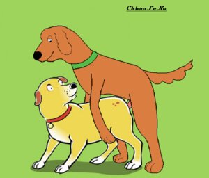 Rating: Explicit Score: 0 Tags: 2d female feral feral_on_feral feral_only feral_penetrated feral_penetrating full_color martha_lorraine martha_speaks mounting quadruped rule34 skits_lorraine tagme User: bunchy7s