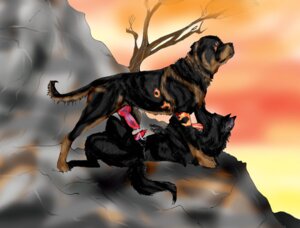 Rating: Explicit Score: 0 Tags: animal_genitalia animal_penis bodily_fluids canid canine canine_genitalia canine_penis canis cliff cum detailed_background domestic_dog duo e621 erection feral feral_on_feral frottage game-rott genital_fluids genitals german_shepherd herding_dog knot lying male male/male mammal mastiff molosser on_back orgasm outside pastoral_dog penile penis penises_touching plant rock rottweiler sex side_view sunset tail tree unknown_artist wood User: bunchy7s