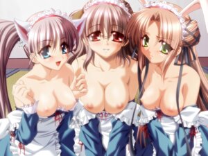 Rating: Explicit Score: 0 Tags: 2x4!_-hitotsu_yane_no_shita_de- 3girls animal_ear araiguma blush breasts female futaba_hiromi game_cg multiple_females multiple_girls niimi_haruka niki_sarasa rule34 User: bunchy7s