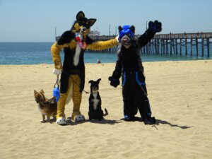 Rating: Safe Score: 0 Tags: 4:3 ambiguous_gender anthro beach canid canine canis clothing costume detailed_background dogbomb domestic_dog domestic_pet e621 feral fox furries_with_pets fursuit grandfathered_content group human itsuya male mammal open_mouth outside photography_(artwork) real sand seaside sky yawn User: bunchy7s Rating: Safe Score: 0 Tags: 4:3 ambiguous_gender anthro beach canid canine canis clothing costume detailed_background dogbomb domestic_dog domestic_pet e621 feral fox furries_with_pets fursuit grandfathered_content group human itsuya male mammal open_mouth outside photography_(artwork) real sand seaside sky yawn User: bunchy7s