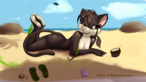 Rating: Questionable Score: 0 Tags: 5_toes anthro beach bent_legs biped black_body black_fur breasts brown_body brown_eyes brown_fur brown_hair calves_up clothed clothing clothing_around_one_leg cloud dawkz detailed_background domestic_cat e621 feet felid feline felis female foot_focus footwear fur hair hi_res hindpaw lying mammal nude on_front outside panties partially_clothed paws plantigrade raised_calf sand sandals sea seaside shoes sky soles solo swimwear tail toes underwear underwear_around_one_leg underwear_down undressing water User: bunchy7s