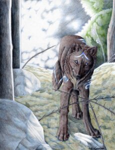 Rating: Safe Score: 0 Tags: ambiguous_gender canid canine colored_pencil_(artwork) detailed detailed_background digitigrade e621 feral looking_at_viewer lyanti mammal markings quadruped realistic solo tail traditional_media_(artwork) User: bunchy7s Rating: Safe Score: 0 Tags: ambiguous_gender canid canine colored_pencil_(artwork) detailed detailed_background digitigrade e621 feral looking_at_viewer lyanti mammal markings quadruped realistic solo tail traditional_media_(artwork) User: bunchy7s