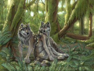 Rating: Safe Score: 0 Tags: ambiguous_gender anthro canid canine canis claws detailed_background digitigrade duo e621 forest fur inner_ear_fluff mammal nature outside plant rayndancer sitting tail tree tuft watermark wolf wood yellow_eyes User: bunchy7s Rating: Safe Score: 0 Tags: ambiguous_gender anthro canid canine canis claws detailed_background digitigrade duo e621 forest fur inner_ear_fluff mammal nature outside plant rayndancer sitting tail tree tuft watermark wolf wood yellow_eyes User: bunchy7s