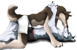 Rating: Explicit Score: 0 Tags: 2008 alaskan_malamute anthro blackteagan blue_eyes boxers_(clothing) bulge bulge_frottage canid canine canis clothed clothing cuddling domestic_dog duo e621 eye_contact fur grinding haku_(maneater) hug hush_(hushhusky) husky hybrid kissing licking looking_at_another lying male male/male mammal nordic_sled_dog on_back romantic romantic_couple sex simple_background spitz tail tongue tongue_out topless underwear wolf User: bunchy7s