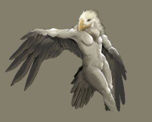 Rating: Questionable Score: 0 Tags: 2007 accipitrid accipitriform anthro avian beak bird breasts chest_tuft e621 eagle feather_tuft feathered_wings feathers featureless_breasts female front_view navel non-mammal_breasts non-mammal_navel nude pira portrait realistic_wings simple_background small_breasts solo tail tail_feathers three-quarter_portrait tuft wings yellow_beak User: bunchy7s Rating: Questionable Score: 0 Tags: 2007 accipitrid accipitriform anthro avian beak bird breasts chest_tuft e621 eagle feather_tuft feathered_wings feathers featureless_breasts female front_view navel non-mammal_breasts non-mammal_navel nude pira portrait realistic_wings simple_background small_breasts solo tail tail_feathers three-quarter_portrait tuft wings yellow_beak User: bunchy7s