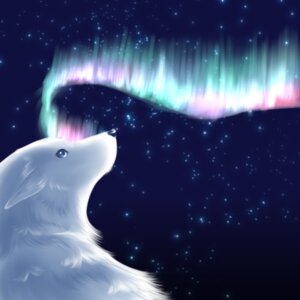 Rating: Safe Score: 0 Tags: 1:1 2010 ambiguous_gender aurora_(phenomenon) black_nose blue_eyes canid canine canis e621 feral fur garouga looking_up low_res mammal night outside sky solo star starry_sky white_body white_fur wolf User: bunchy7s