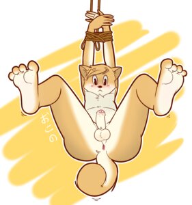 Rating: Explicit Score: 0 Tags: anthro anus balls canid canine canis domestic_dog e621 erection foreskin genitals humanoid_genitalia humanoid_penis male mammal nude okono_yuujo partially_retracted_foreskin penis pkaocko shiba_inu solo spitz tail User: bunchy7s