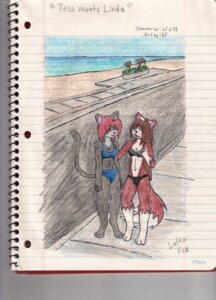Rating: Questionable Score: 0 Tags: 3_toes anthro barefoot beach bikini black_body black_fur brown_hair canid canine clothed clothing detailed_background digitigrade dipstick_tail domestic_cat duo e621 english_text feet felid feline felis female fox fur hair hi_res laffinfox linda_wright mammal markings navel outside red_body red_fur red_hair sand seaside skimpy swimwear tail tail_markings tess_neeson text tight_clothing toes two-piece_swimsuit User: bunchy7s