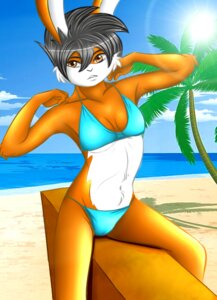 Rating: Questionable Score: 0 Tags: 2010 anthro beach bikini camel_toe clothed clothing detailed_background e621 female lagomorph leporid mammal outside rabbit rafflone sand seaside skimpy sky solo swimwear two-piece_swimsuit User: bunchy7s