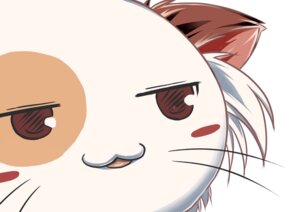 Rating: Safe Score: 0 Tags: :3 afy-all ambiguous_gender brown_eyes calico_cat close-up domestic_cat e621 felid feline felis feral fluffy half-closed_eyes mammal mashiroiro_symphony narrowed_eyes pan-nya reaction_image solo tongue tongue_out whiskers User: bunchy7s