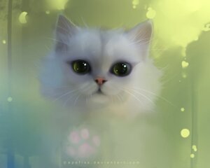 Rating: Safe Score: 0 Tags: 5:4 ambiguous_gender apofiss detailed domestic_cat e621 felid feline felis feral footprint fur green_eyes mammal pawprint realistic simple_background solo wallpaper whiskers white_body white_fur User: bunchy7s