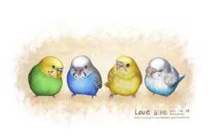 Rating: Safe Score: 0 Tags: 2011 ambiguous_gender avian beak bird budgerigar cere_(anatomy) cocoon_(yuming4976) e621 english_text eyes_closed feral group loriine multicolored_body parakeet parrot realistic signature simple_background text true_parrot url User: bunchy7s