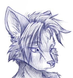Rating: Safe Score: 0 Tags: ambiguous_gender anthro biped blue_and_white blue_body blue_eyes blue_fur blue_hair blue_nose bust_portrait canid canine countershading digital_drawing_(artwork) digital_media_(artwork) e621 eye_through_hair fox front_view fur hair inner_ear_fluff looking_away looking_down low_res mammal monochrome portrait sad side_view simple_background sketch solo thinking thoughtful_expression three-quarter_view translucent translucent_hair tuft white_background zombiecat User: bunchy7s