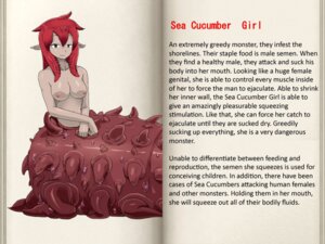 Rating: Explicit Score: 0 Tags: breasts character_profile female mon-musu_quest! monster_girl monster_girl_quest official_art red_hair rule34 tentacle translated User: bunchy7s