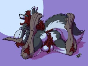Rating: Explicit Score: 0 Tags: 4:3 4_arms aerona anal_hair anthro anus backsack ball_tuft balls biped breasts butt canid canine canis claws digitigrade e621 feet fenrir_lunaris fur genitals grey_body grey_fur hair herm hindpaw intersex looking_at_viewer looking_back lying mammal multi_arm multi_limb multifur nipples nude on_front paws presenting pubes solo tail toes tuft vulva wolf User: bunchy7s Rating: Explicit Score: 0 Tags: 4:3 4_arms aerona anal_hair anthro anus backsack ball_tuft balls biped breasts butt canid canine canis claws digitigrade e621 feet fenrir_lunaris fur genitals grey_body grey_fur hair herm hindpaw intersex looking_at_viewer looking_back lying mammal multi_arm multi_limb multifur nipples nude on_front paws presenting pubes solo tail toes tuft vulva wolf User: bunchy7s