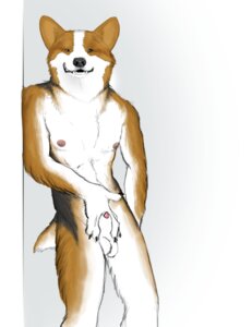 Rating: Explicit Score: 0 Tags: 2010 animal_genitalia anthro balls canid canine canis domestic_dog e621 genitals herding_dog male mammal nude pastoral_dog penis penis_tip sheath solo tail theslateguardian welsh_corgi User: bunchy7s