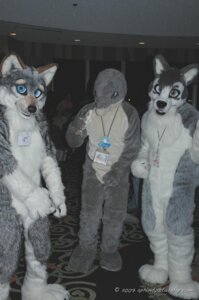 Rating: Safe Score: 0 Tags: 2007 anthro aphinity aquatic canid canine canis cetacean clothing costume dolphin e621 fursuit grandfathered_content group human male mammal oceanic_dolphin real toothed_whale wolf User: bunchy7s