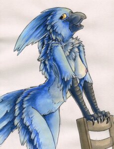 Rating: Questionable Score: 0 Tags: 2011 anthro avian avian_arms beak bird blue_avian_(ruaidri) breasts chair e621 feathers female furniture nipples non-mammal_breasts non-mammal_nipples nude ruaidri solo wood wood_chair wood_furniture User: bunchy7s