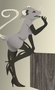 Rating: Questionable Score: 0 Tags: american_opossum anthro armwear biped boots clothing e621 elbow_gloves female footwear gloves handwear high_heeled_boots high_heels legwear mammal marsupial nude oh_u shoes side_view solo sonderjen tail thigh_boots thigh_highs virginia_opossum whiskers User: bunchy7s